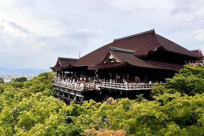 Kyoto Half Day Highlights Tour - The guide makes the difference