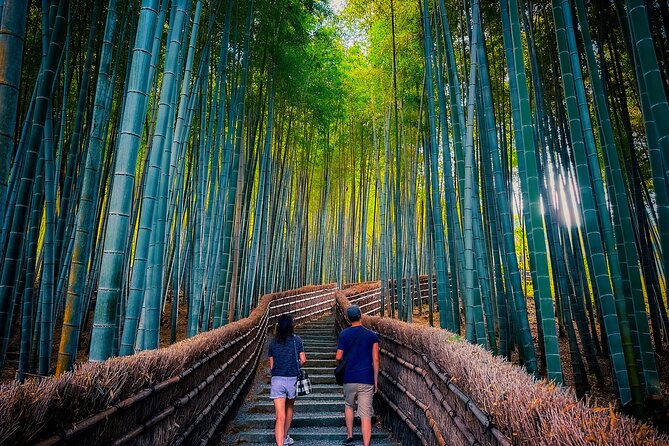 Kyoto Highlights & Hidden Gems in Nature (Private Van Eng-Guide) - Arashiyama beyond the main bamboo path