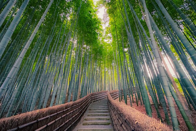 Kyoto Highlights & Hidden Gems in Nature (Private Van Eng-Guide) - The Arashiyama-Takao Parkway and mountain views