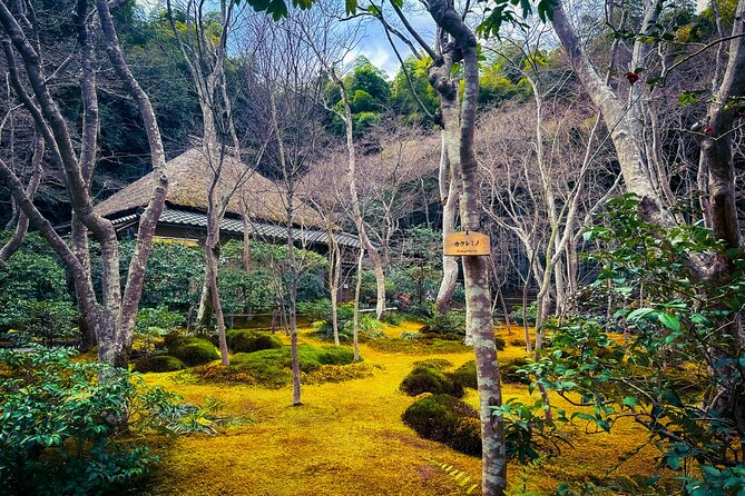 Kyoto Highlights & Hidden Gems in Nature (Private Van Eng-Guide) - What the guide adds to the day