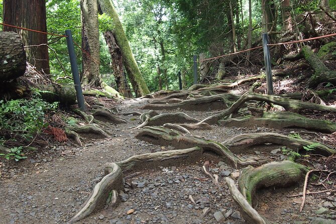 Kyoto Hiking Tour: The Nature and Legends of Kurama and Kibune - The inner shrine and the boat legend