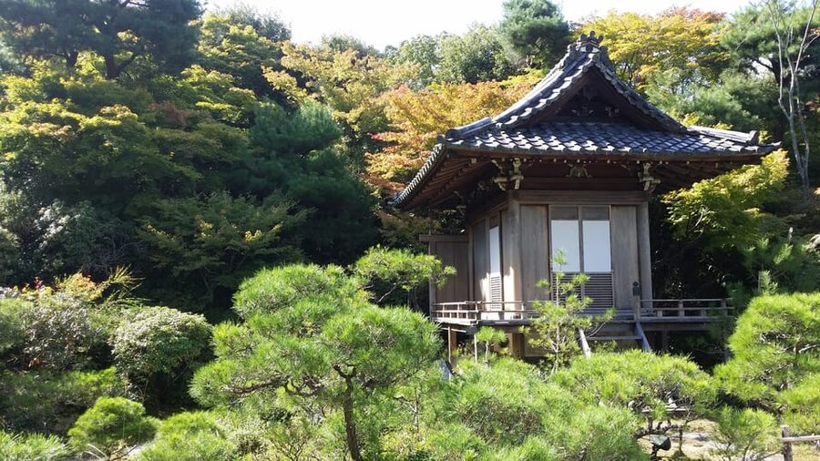 Kyoto: Immersive Arashiyama & Fushimi Inari by Private Car - Why a private car makes sense for this Kyoto route