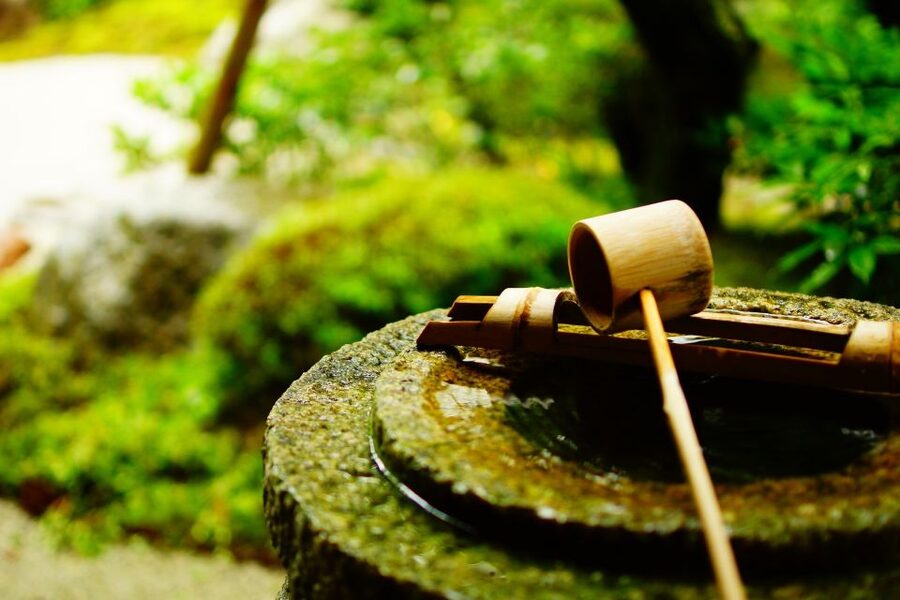 Kyoto: Immersive Arashiyama & Fushimi Inari by Private Car - Riverside time, lunch, and a little freedom