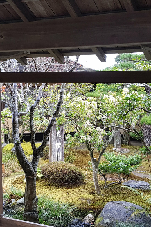 Kyoto: Immersive Arashiyama & Fushimi Inari by Private Car - Fushimi Inari and the red torii gates