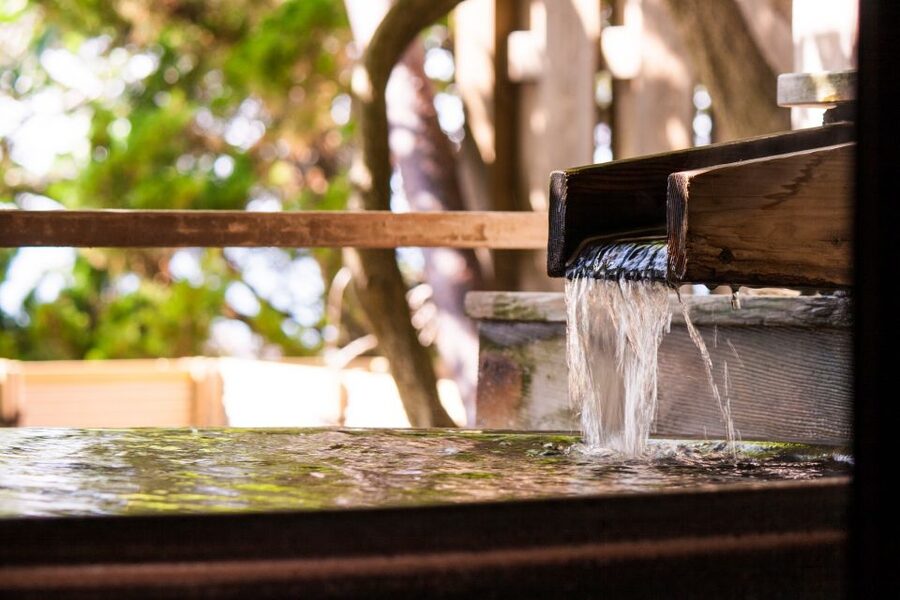 Kyoto: Immersive Arashiyama & Fushimi Inari by Private Car - The guides can shape the whole day