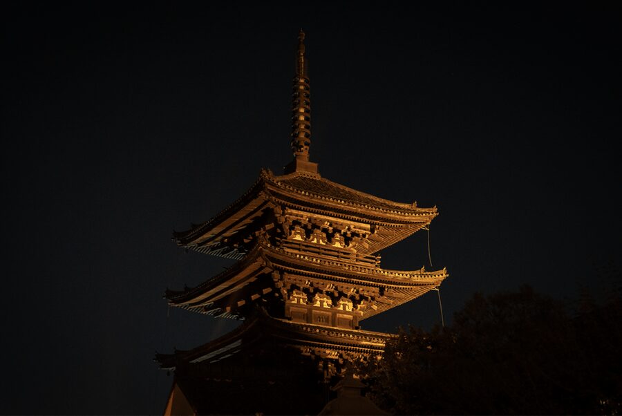 Kyoto: Izakaya Bars Guided Walking Tour - What the guides add to the night