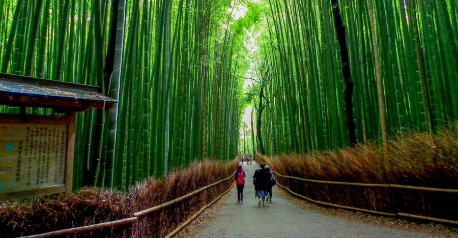 Kyoto: Japanese Gardens Private Customizable Tour - Key Points to Know Before Booking