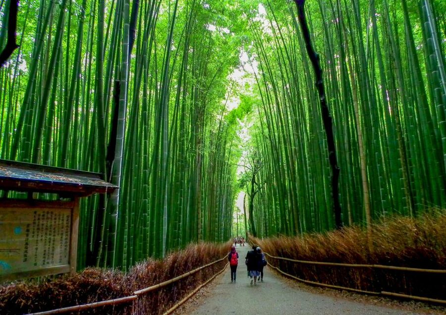 Kyoto: Japanese Gardens Private Customizable Tour - Why a Private Garden Tour Works Well in Kyoto