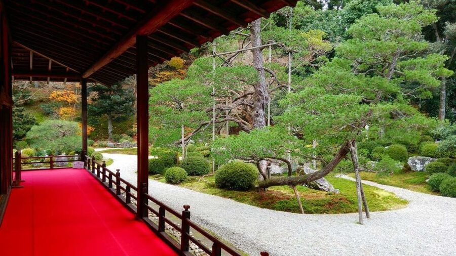 Kyoto: Japanese Gardens Private Customizable Tour - Ginkakuji and Kinkakuji, Two Very Different Temple Settings
