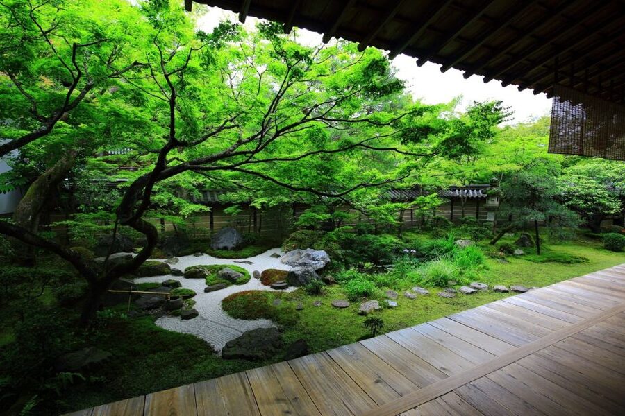 Kyoto: Japanese Gardens Private Customizable Tour - Nanzenji, Honen-in, and Tofukuji for a Temple-Centered Day