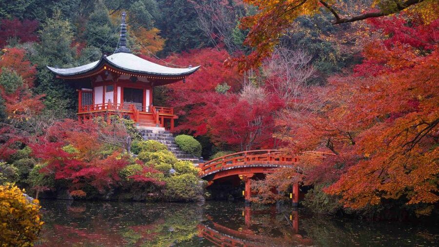 Kyoto: Japanese Gardens Private Customizable Tour - Arashiyama Bamboo Forest and the Wider Western Hills