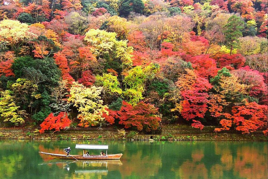 Kyoto: Japanese Gardens Private Customizable Tour - What the $151 Price Includes