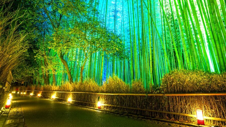 Kyoto: Japanese Gardens Private Customizable Tour - Ryoanji and the Meaning of a Dry Garden