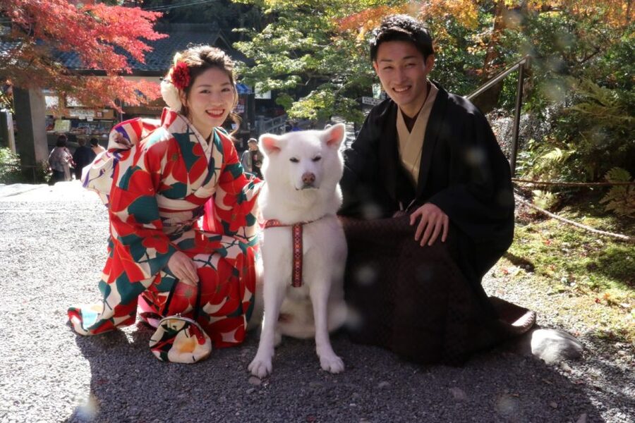 Kyoto: Kimono Rental Traditional Experience at Wargo in Gion - Should you book the WARGO kimono rental?