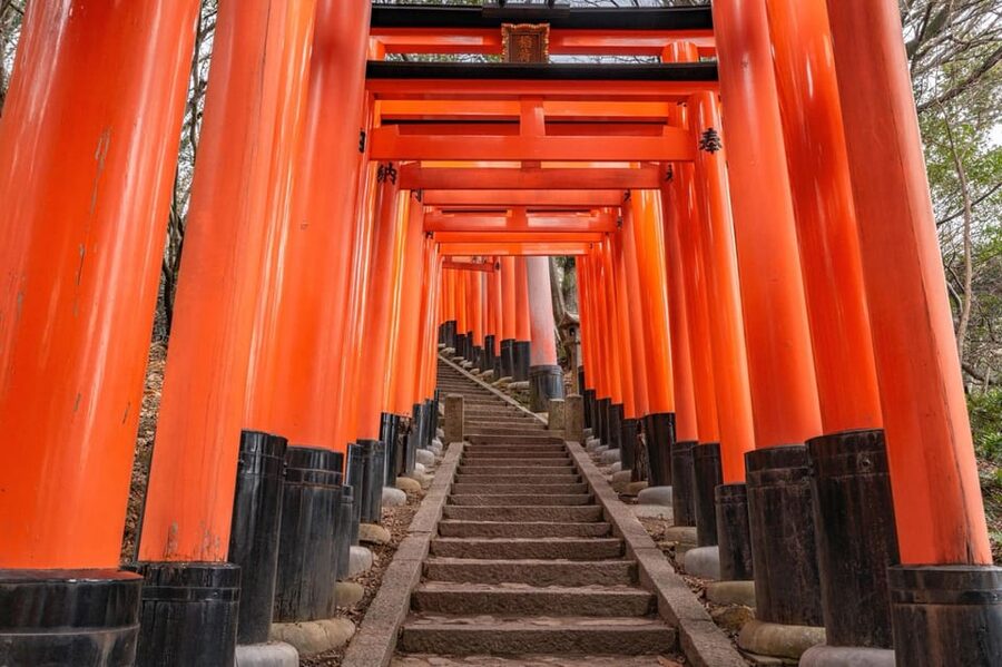Kyoto: Kiyomizu-dera, Fushimi Inari & Gion Geisha District - Is $90 per person good value?