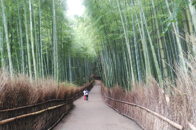 Kyoto Lazy Bird Walking Tour - The private guide is the main value