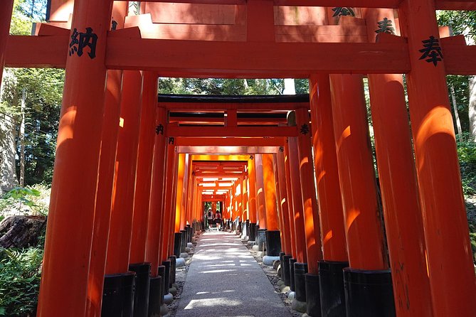 Kyoto Lazy Bird Walking Tour - Arashiyama Bamboo Grove: beautiful, brief, and busy