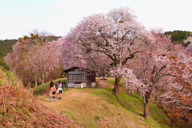 Kyoto Magical Night English Tour: Gion & Fushimi Inari Shrine - Yasaka Pagoda and the stone streets of Higashiyama