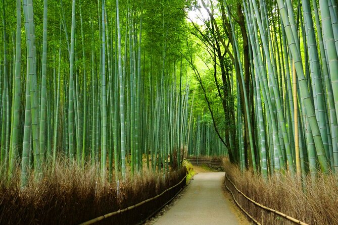 Kyoto Morning Tour with English Speaking Guide - Who should book this Kyoto morning tour