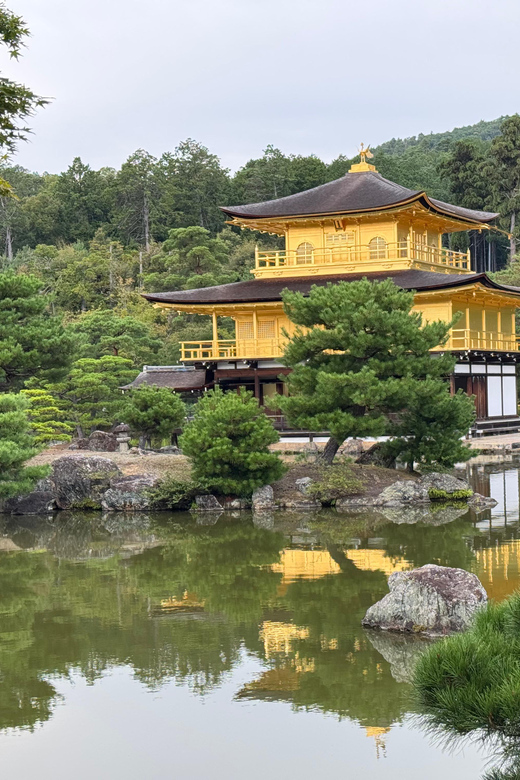 Kyoto & Nara Full Day Customised Tour - Nishiki Market turns lunch into part of the sightseeing