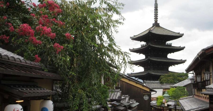 KYOTO-NARA: Giant Buddha Deer Pagoda "Geisya" (Italian, full day) - Deer in Nara Park, with a little common sense