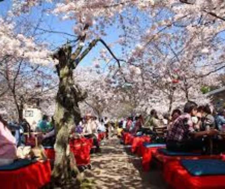 Kyoto & Nara Private Customized, Guided Tour - Is $438 a good value for six people?