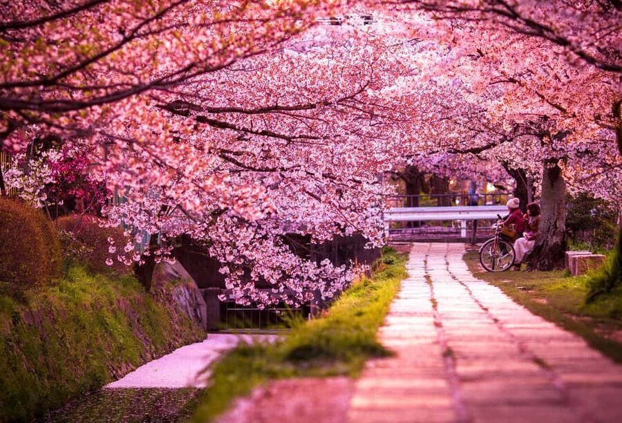 Kyoto & Nara Private Customized, Guided Tour - Kiyomizu-dera brings the big city view