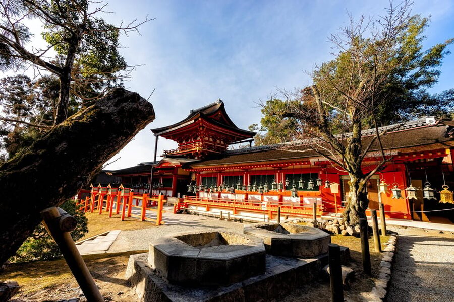 Kyoto: Nara, Todaiji, Kasuga Taisha Shrine Private Full Day - Meeting Nara’s sacred deer in Nara Park
