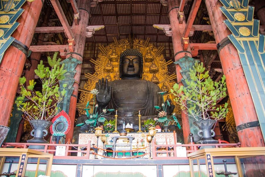 Kyoto: Nara, Todaiji, Kasuga Taisha Shrine Private Full Day - Choosing lunch at Kotoya