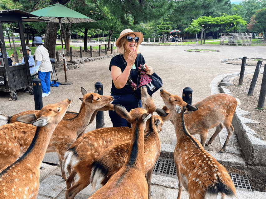 Kyoto: Nara & Traditional Matcha Experience Bus Tour - Why this Nara and Uji combination works