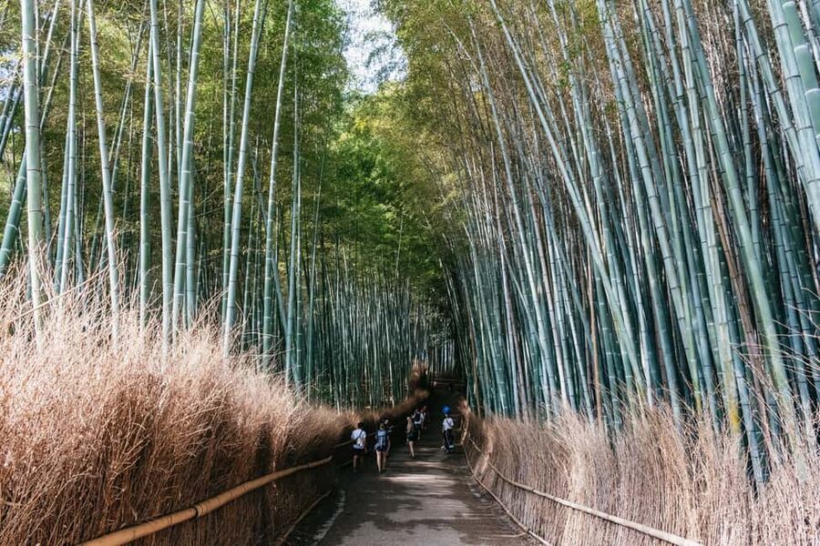 Kyoto: Nijo Castle, Kiyomizu & Fushimi Inari Guided Tour - Walking, crowds, weather, and the long day