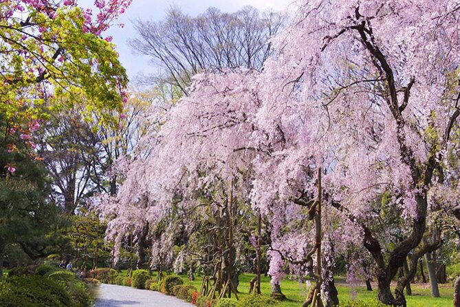 Kyoto: Nijo Castle World Heritage Guided Tour with Admission - Timing, transport, and practical planning