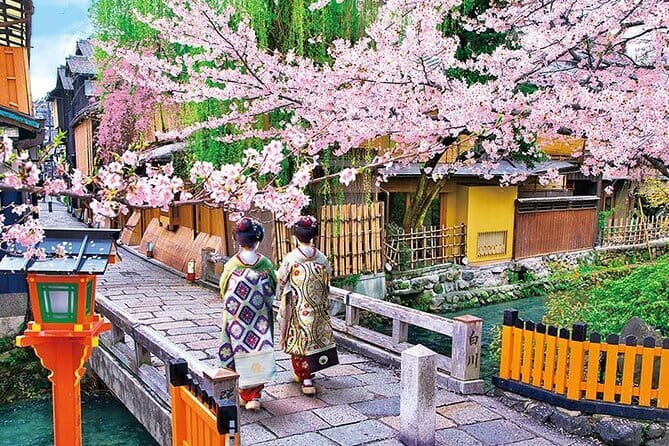 Kyoto: Nijo, Kinkaku-ji, Arashiyama, Kiyomizu & Fushimi Inari - Who Should Book This Tour?