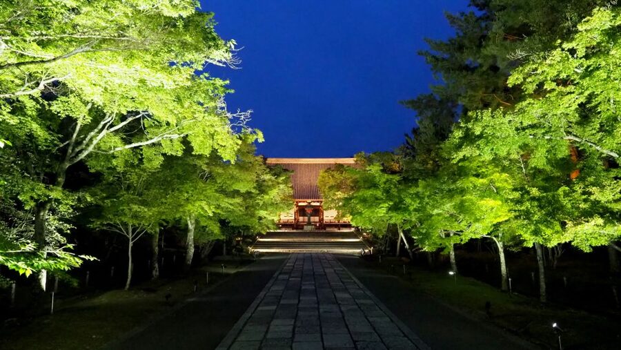 Kyoto: Ninnaji Temple Entry Ticket - Walking the two-hour Omuro Pilgrimage