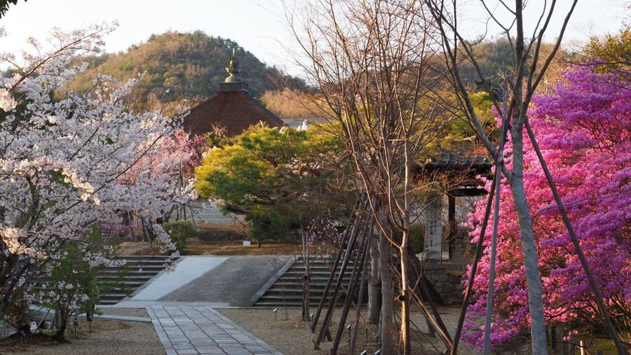 Kyoto: Ninnaji Temple Entry Ticket - Reihokan Museum and Ninnaji’s cultural objects