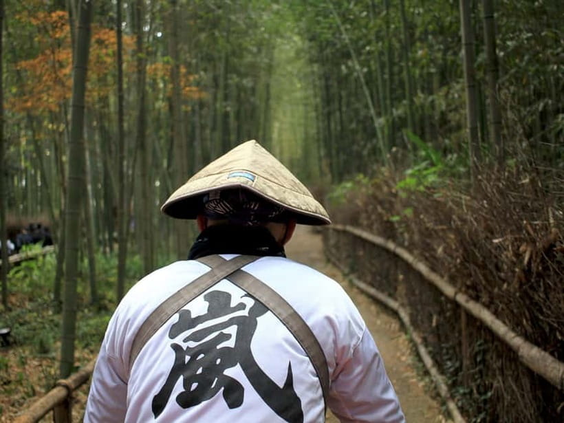 Kyoto/Osaka: Kinkakuji, Bamboo Forest, and Nara Deer Park - Nara Park and the deer