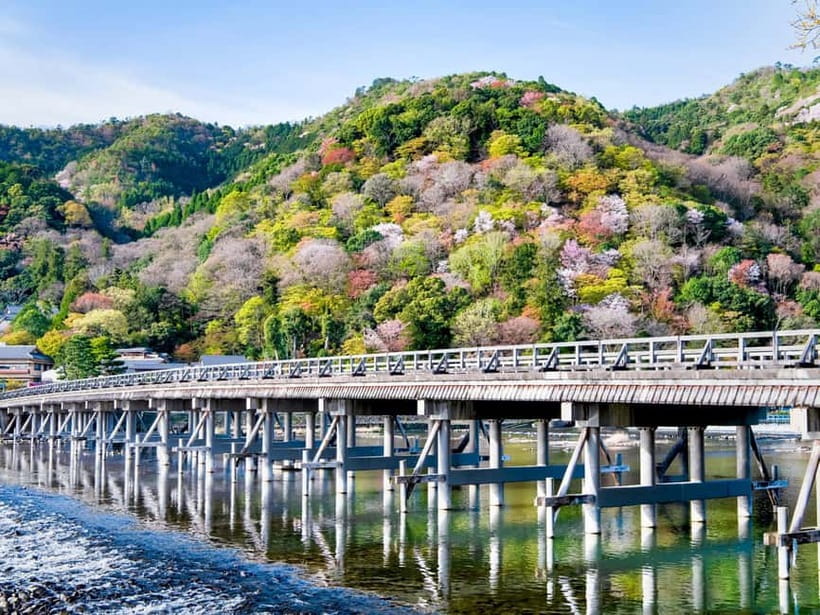 Kyoto/Osaka: Kinkakuji, Bamboo Forest, and Nara Deer Park - Coach comfort, meeting points, and pace