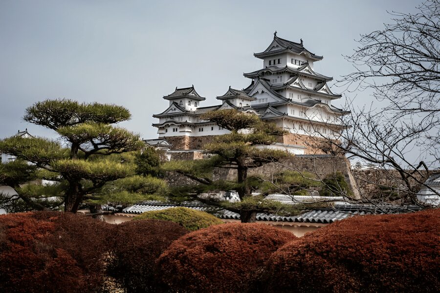 Kyoto/Osaka: Kobe & Himeji Journey Through Culture & History - Who will get the most from this tour