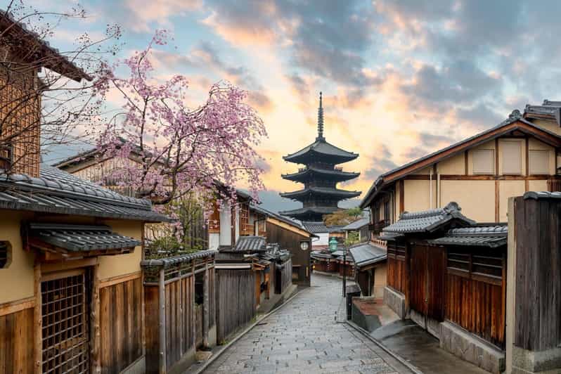 Kyoto/Osaka: Kyoto and Nara Customized Private Guided Tour - Fushimi Inari’s vermilion torii gates