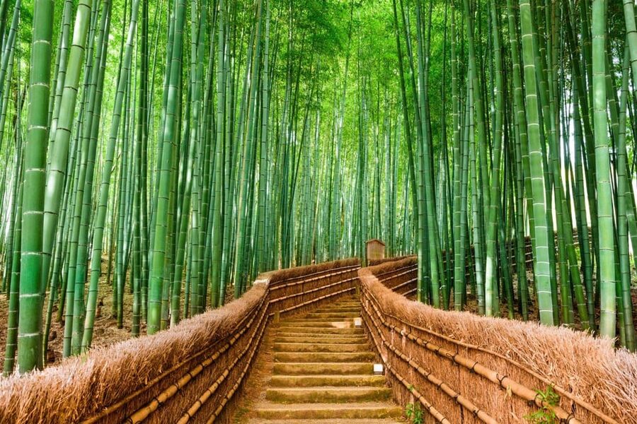 Kyoto/Osaka: Kyoto and Nara Customized Private Guided Tour - Kiyomizu-dera and the hills of eastern Kyoto