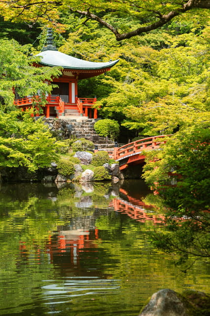 Kyoto/Osaka: Kyoto and Nara Customized Private Guided Tour - The 45-minute transfer to Nara