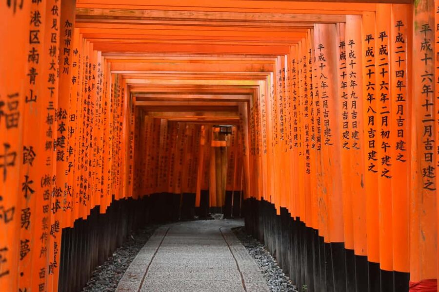 Kyoto/Osaka: Kyoto&Nara Customized Private Highlights Tour - What this private Kyoto and Nara day really offers