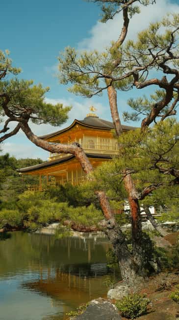 Kyoto/Osaka: Kyoto&Nara Customized Private Highlights Tour - Todai-ji and the Great Buddha