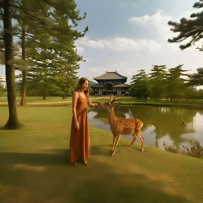 Kyoto/Osaka: Kyoto&Nara Customized Private Highlights Tour - Nishiki Market and Gion finish the day