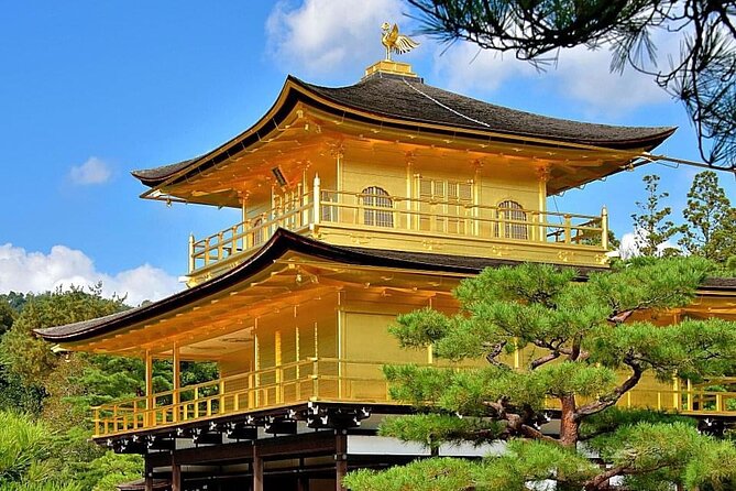 Kyoto, Osaka, Nara Private Tour by Car English Driver Guide - Osaka: castle, shrines, and food streets