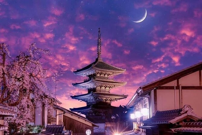 Kyoto, Osaka, Nara Private Tour by Car English Driver Guide - The driver question: transport first, guiding second