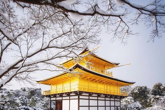 Kyoto, Osaka, Nara Private Tour by Car English Driver Guide - Who gets the best value