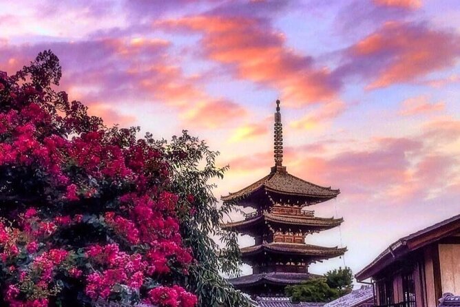 Kyoto, Osaka, Nara Private Tour by Car English Driver Guide - Why one city makes the best choice