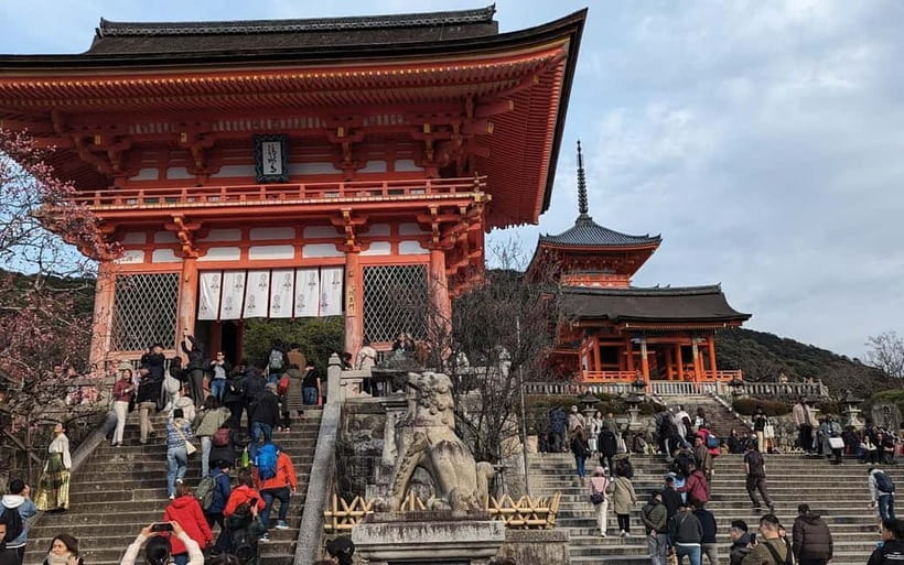 Kyoto: Personalize, private tour (3h, 5h, 8h) [W/Car Option] - Key points to know before booking