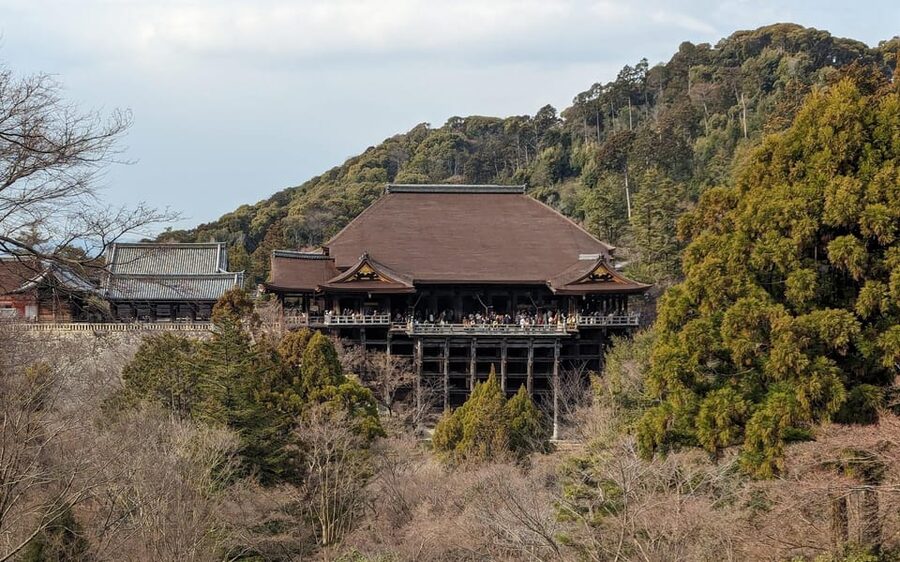 Kyoto: Personalize, private tour (3h, 5h, 8h) [W/Car Option] - Getting around Kyoto by train, bus, subway, or car